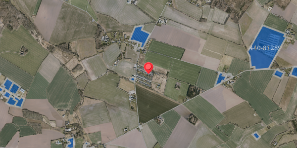 Jordforureningskort på Bækskov 19, 5290 Marslev