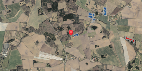 Jordforureningskort på Hjerupvej 40, 5560 Aarup