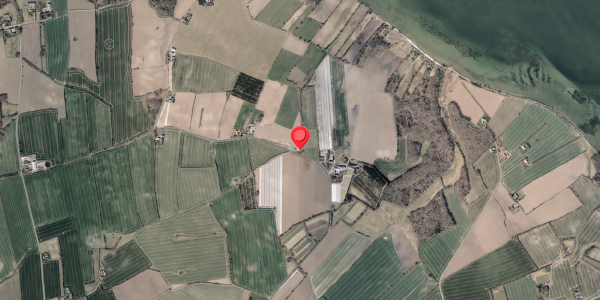 Jordforureningskort på Tamdrupvej 38, 6100 Haderslev