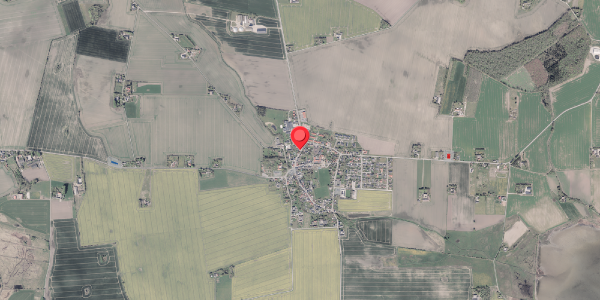 Jordforureningskort på Hovedgaden 11, 8300 Odder