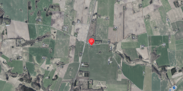 Jordforureningskort på Kielsgaardsvej 21, 8680 Ry