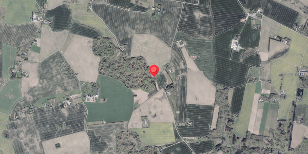 Jordforureningskort på Rasborgvej 3, 8355 Solbjerg