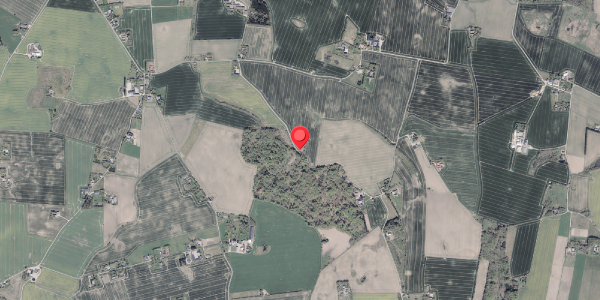 Jordforureningskort på Rasborgvej 16, . , 8355 Solbjerg