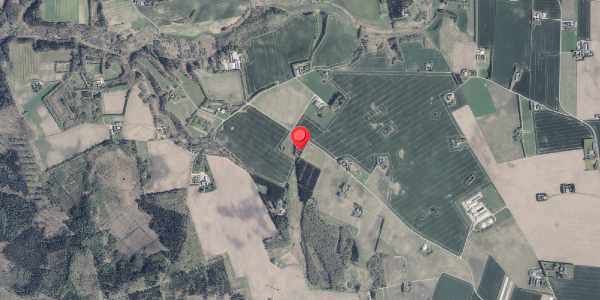 Jordforureningskort på Bjerring Hede 41, 8850 Bjerringbro