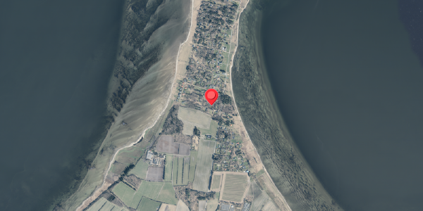 Jordforureningskort på Jelsevej 115, . , 7840 Højslev