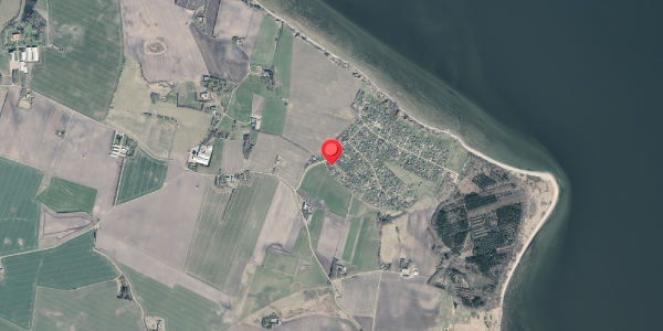 Jordforureningskort på Markvej 3, 7870 Roslev