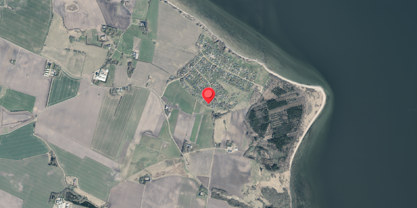 Jordforureningskort på Markvej 37, 7870 Roslev