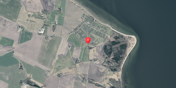 Jordforureningskort på Markvej 41, 7870 Roslev