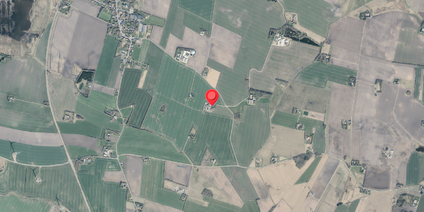 Jordforureningskort på Jungetvej 10, 7870 Roslev