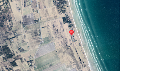 Jordforureningskort på Multebærvej 31, 9981 Jerup