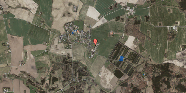 Jordforureningskort på Skovbakken 21, 4100 Ringsted