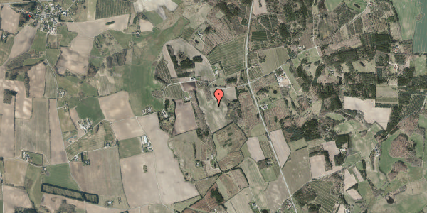 Jordforureningskort på Trinnerupvej 21, 9575 Terndrup