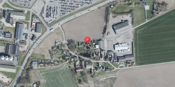 Oversvømmelsesrisiko fra vandløb på Balstrupvej 103B, 4100 Ringsted