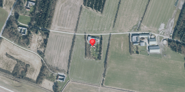 Oversvømmelsesrisiko fra vandløb på Brinkvej 4, 6980 Tim