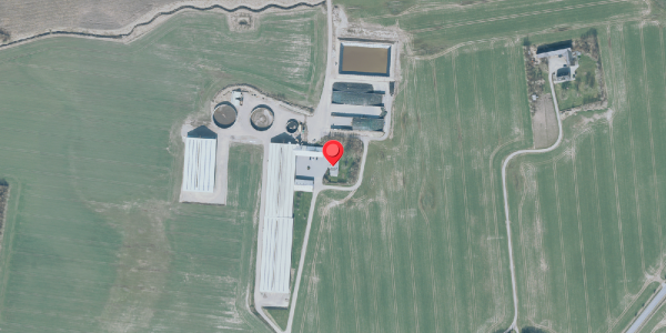 Oversvømmelsesrisiko fra vandløb på Borgvej 6, . , 7600 Struer