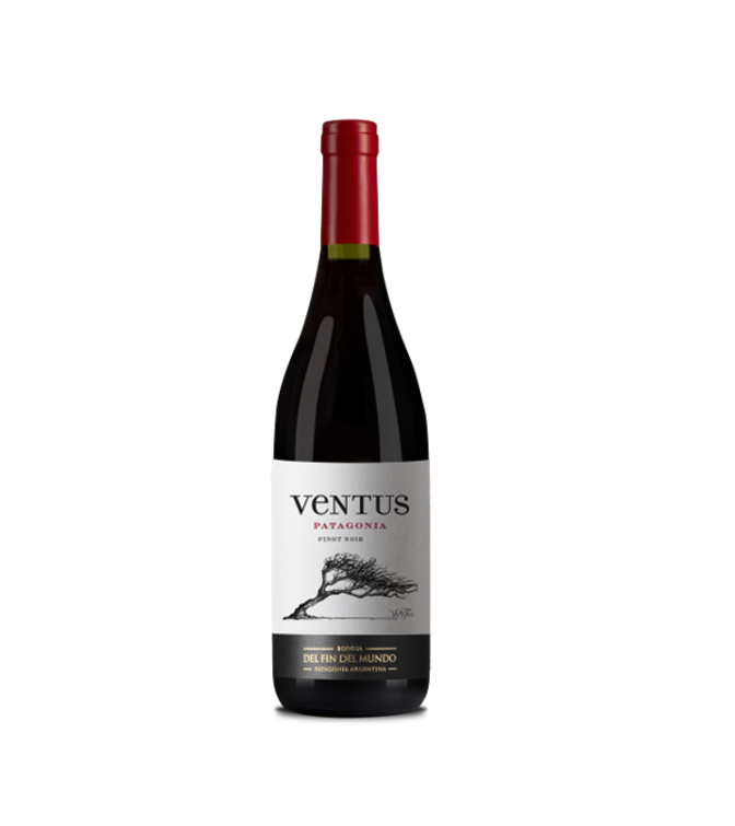 St. Marche | Vinho Argentino Del Fin Del Mundo Ventus Patagonia