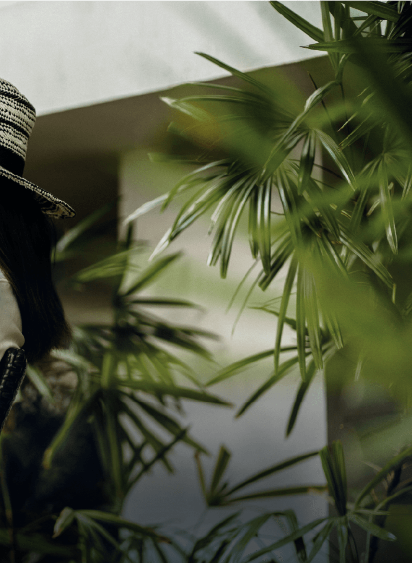 ALAROUS Greenery | العروس