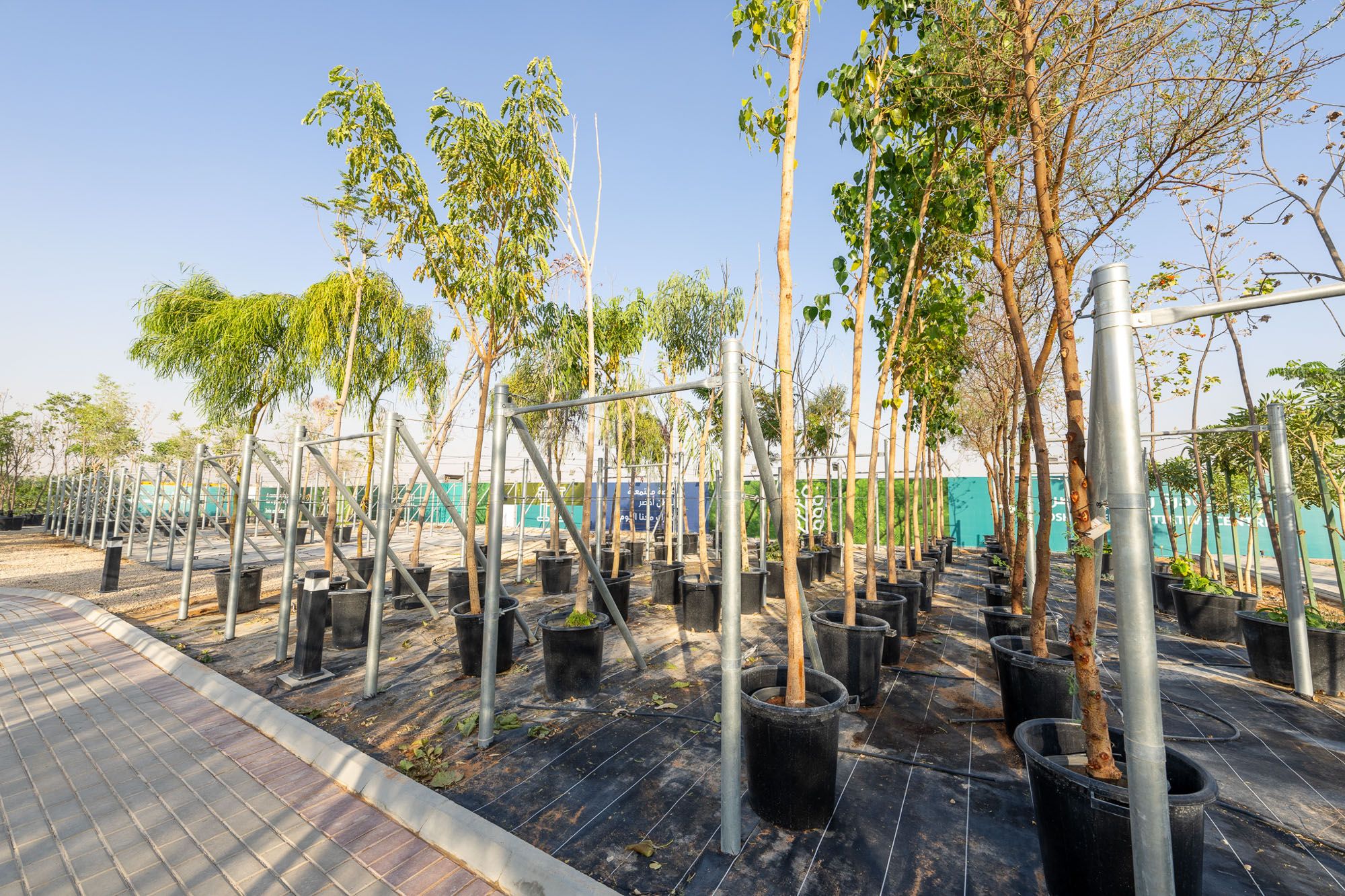 ROSHN Green Initiative Center, Outdoor Area