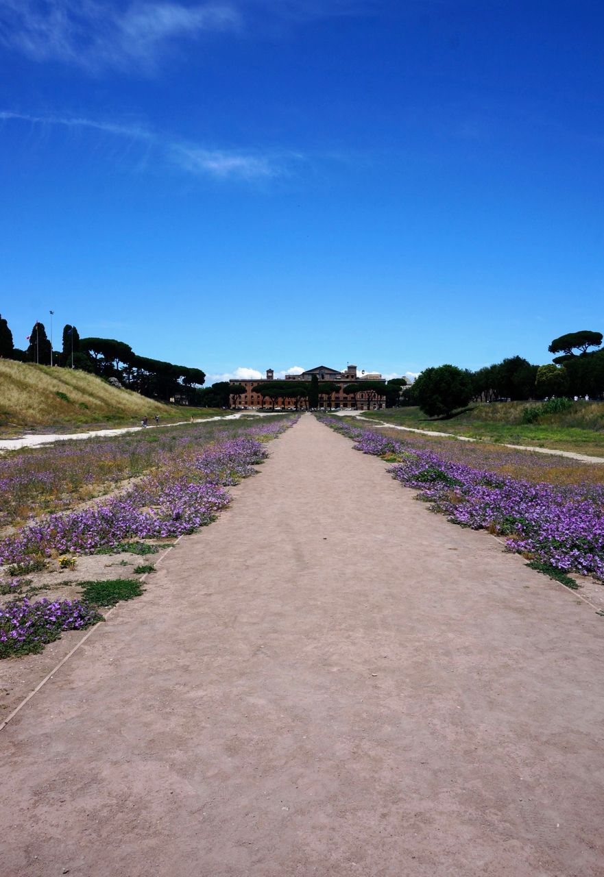 Circo Massimo - From Facing west from the center of the track, Italy