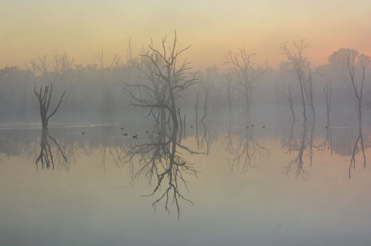 Mulligans Flat Woodland Sanctuary - From The Big Dam, Australia