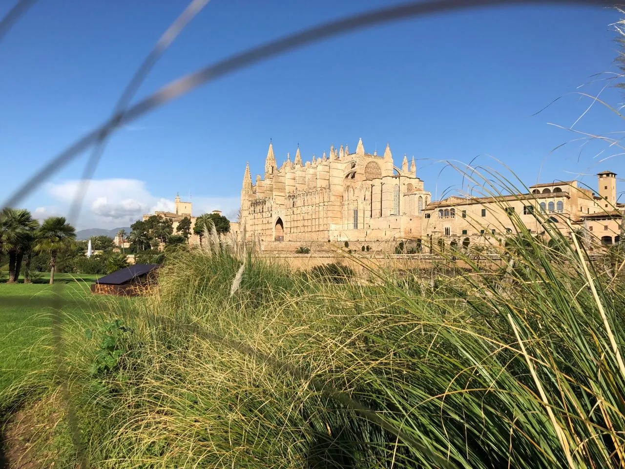 Catedral de Maiorca