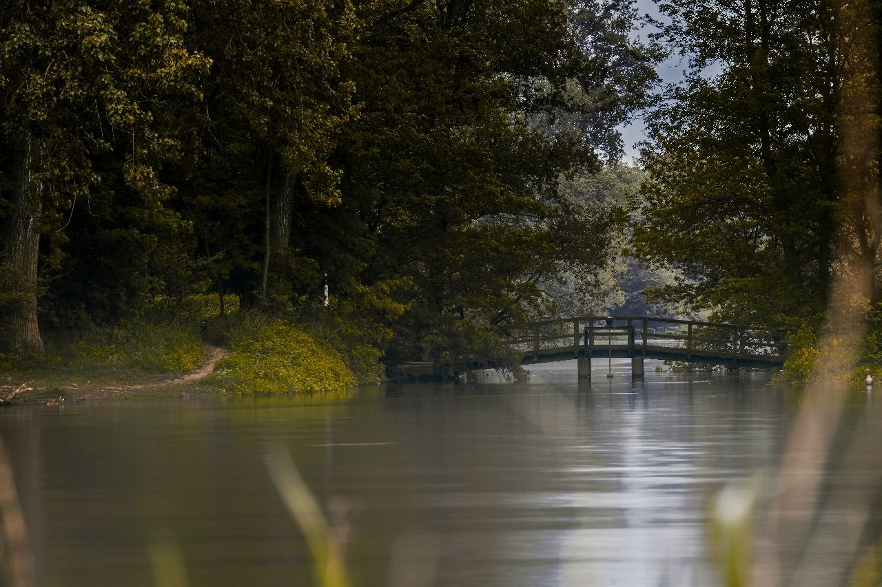Blick auf die Holzbrücke - From Landzunge gegenüber, Germany