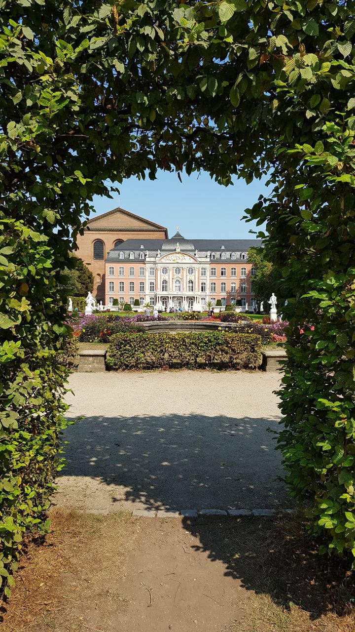 Kurfürstliches Palais durch die Hecke - From Parkwiese am Palastgarten, Germany