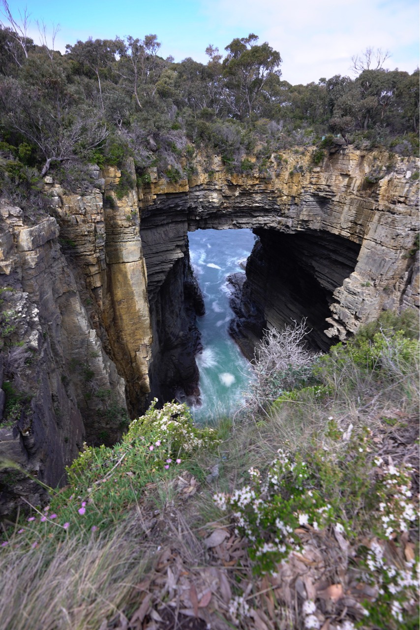 Tasman Arch - Australia