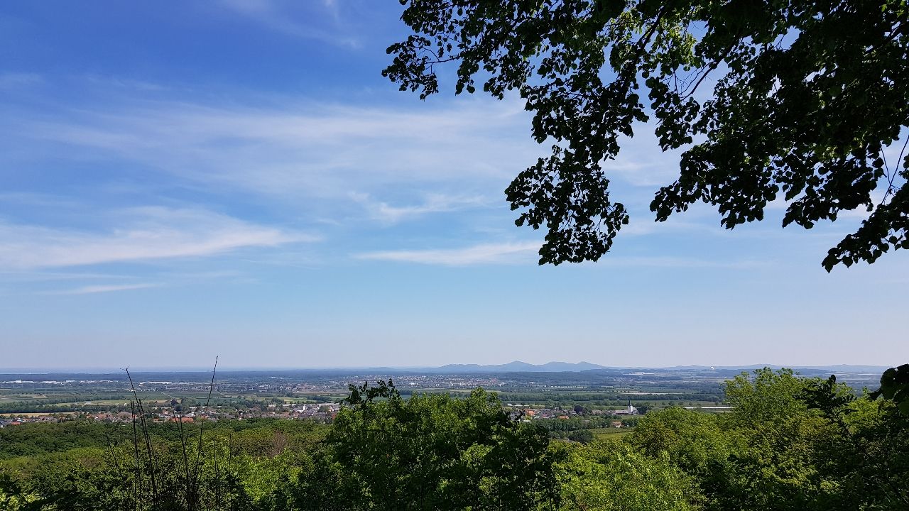Blick über Meckenheim nach Siebengebirge - From Aussichtspunkt Tomburg, Germany