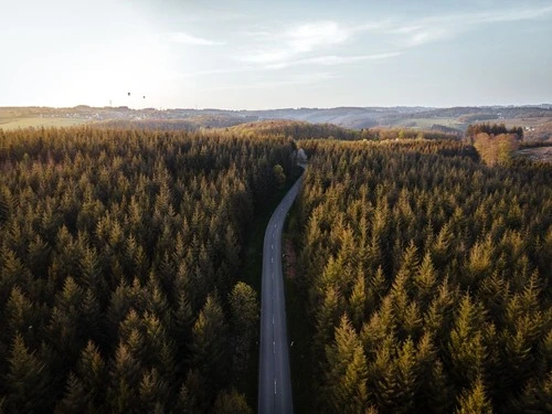 Hot air Ballons over conifers at sunset - Aus Aerial - Drone, Germany
