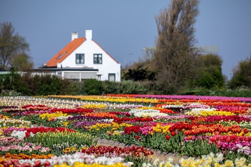 Floratuin Julianadorp - Netherlands