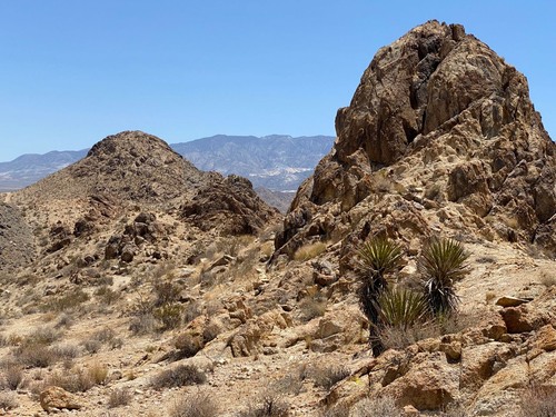 Lucerne Desert - От Rabbit Springs Road facing east, United States