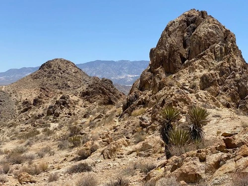 Lucerne Desert - Dari Rabbit Springs Road facing east, United States