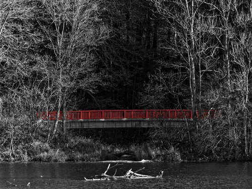 Red bridge - 从 Siechengraben, Germany
