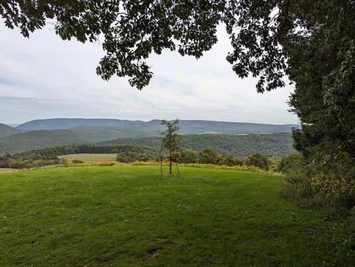 Frank Lloyd Wright's Kentuck Knob - From Backyard, United States