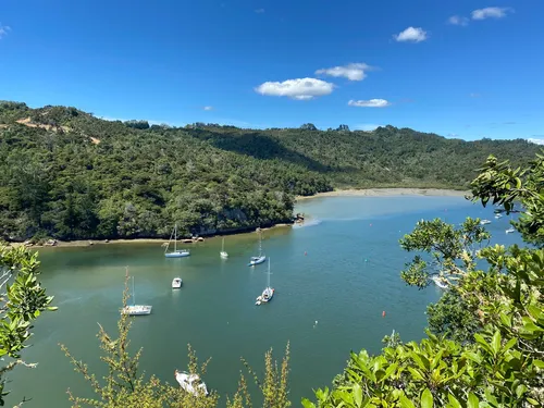 Back Bay - Desde Whitianga Rock, New Zealand