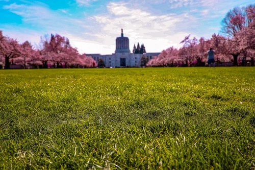 Oregon State Capitol - から Cherry Blossom Park, United States