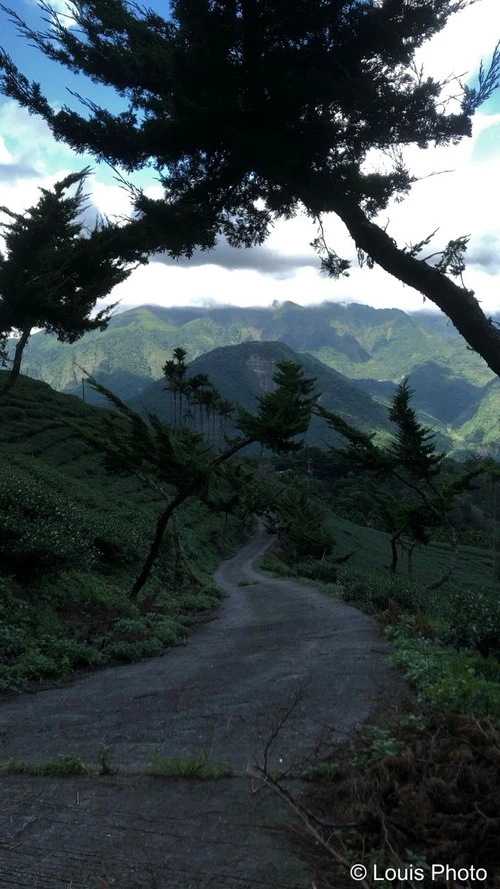 Yunlin's Path - Taiwan