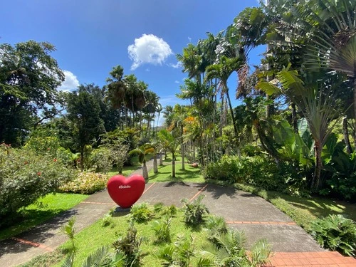 Jardin de Balata - Martinique