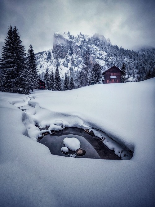 Col de Tanay Area - Switzerland