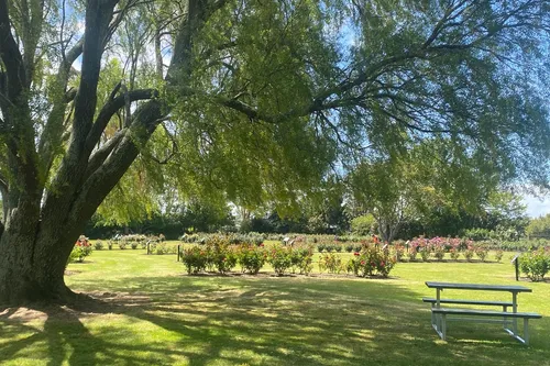 Dugald MacKenzie rose breeding centre - New Zealand