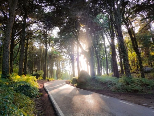 Serra de Sintra - Från Est. da Peninha, Portugal