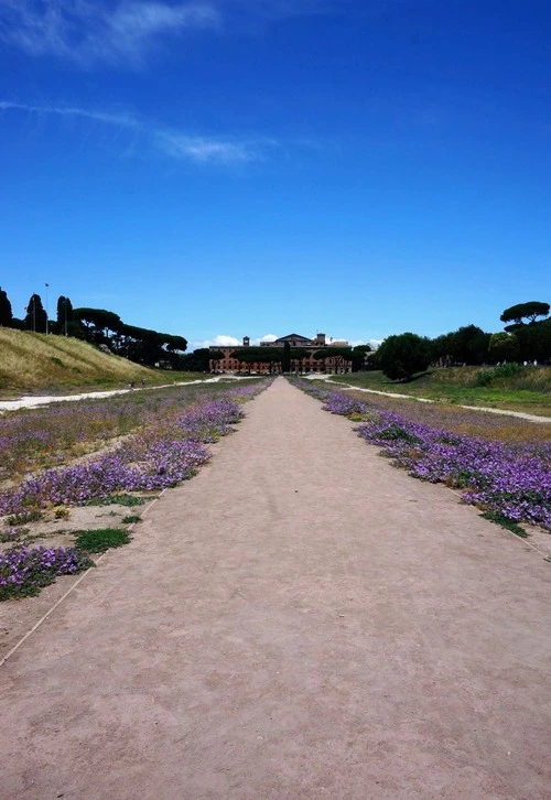 Circo Massimo - Aus Facing west from the center of the track, Italy