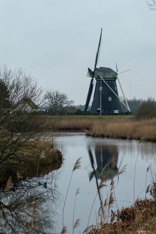 Coppense Molen - From Parking, Netherlands