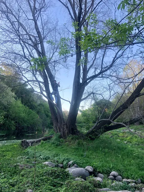 El Bosquecito de Rio Primero - Argentina