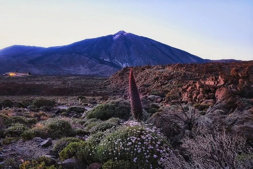 Parador de Cañadas del Teide - から Path, Spain