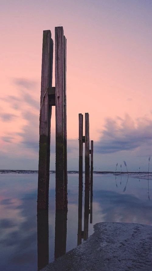 Pfähle am Hafen - Aus Anleger Spiekeroog IV, Germany