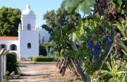 Bodega El Esteco - Argentina