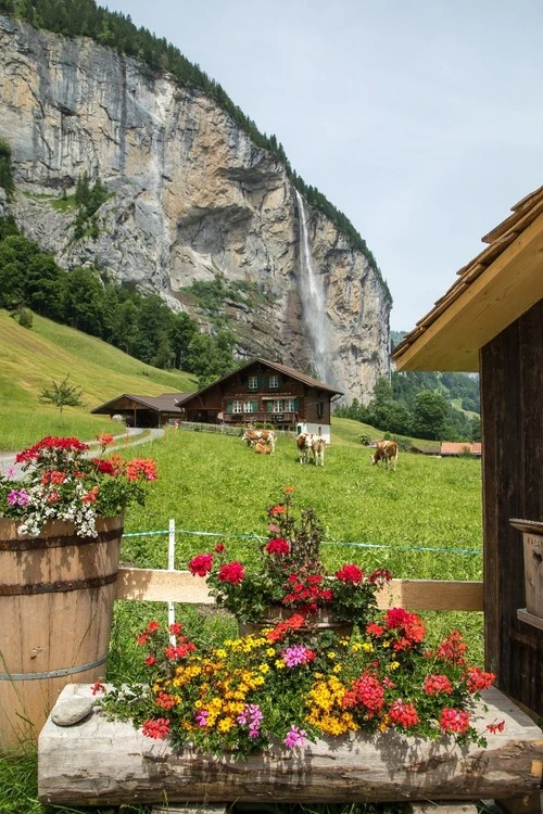 Schweizer Bergpanorama - Des de Lauterbrunnen, Switzerland