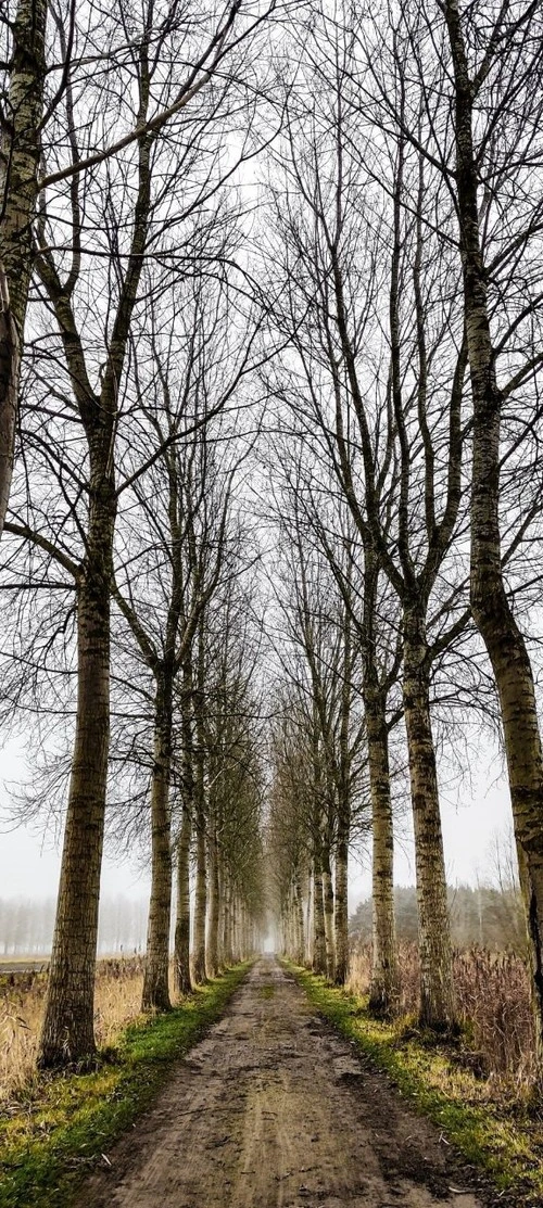 Kloosterbos Area - Belgium